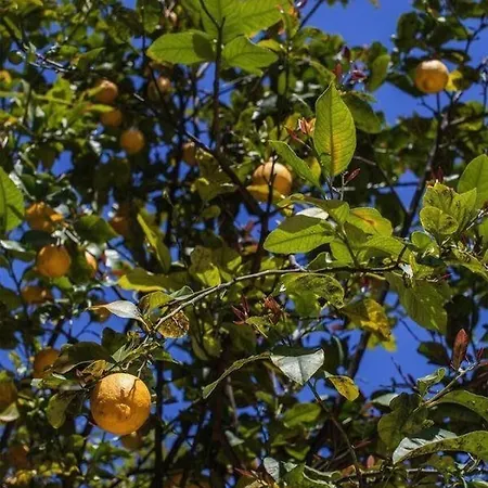 Casa Q Bed & Breakfast 3*