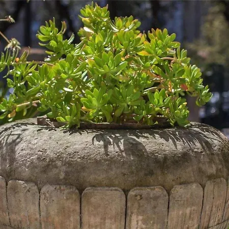 Casa Q Bed & Breakfast Lecce